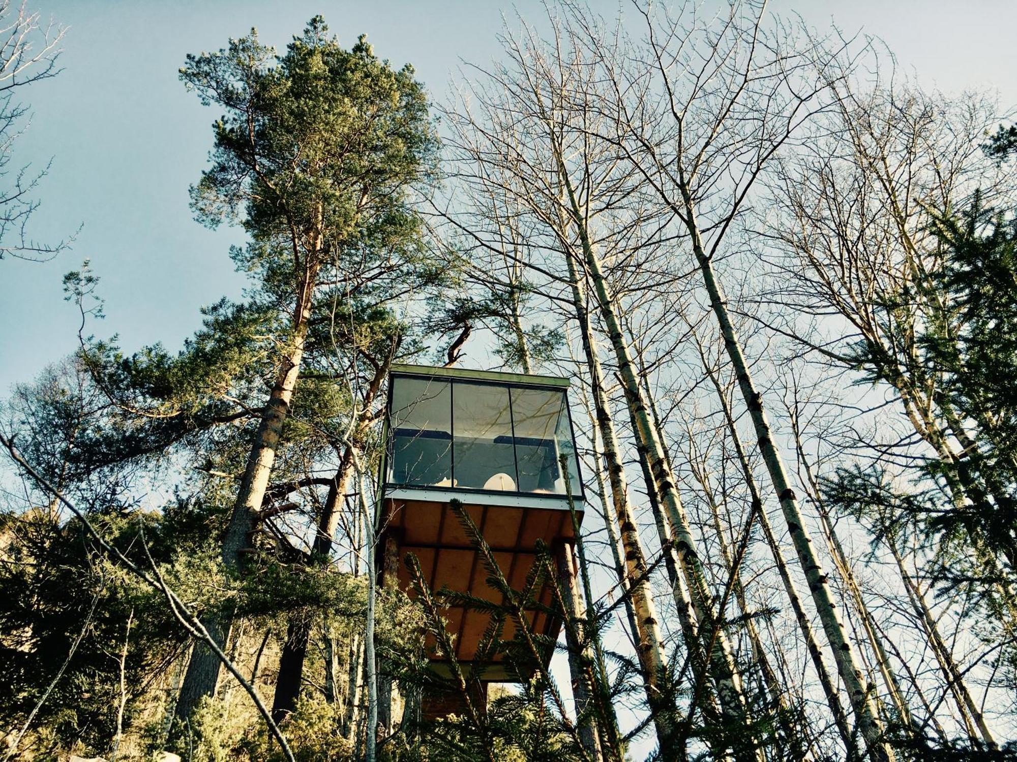 Lodge Engeset Trehytter *
